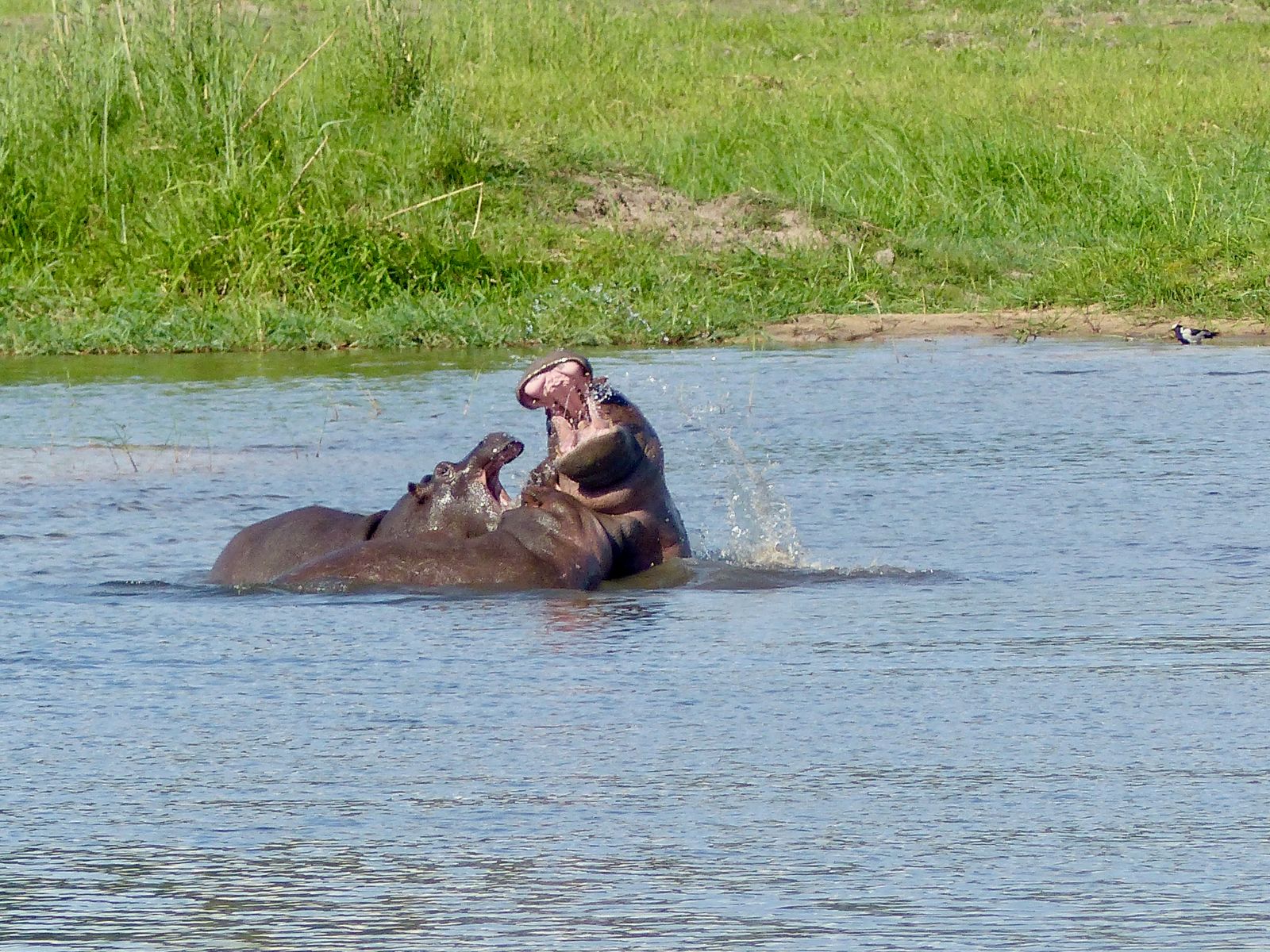 Jour 14 - Bwabwata National Park