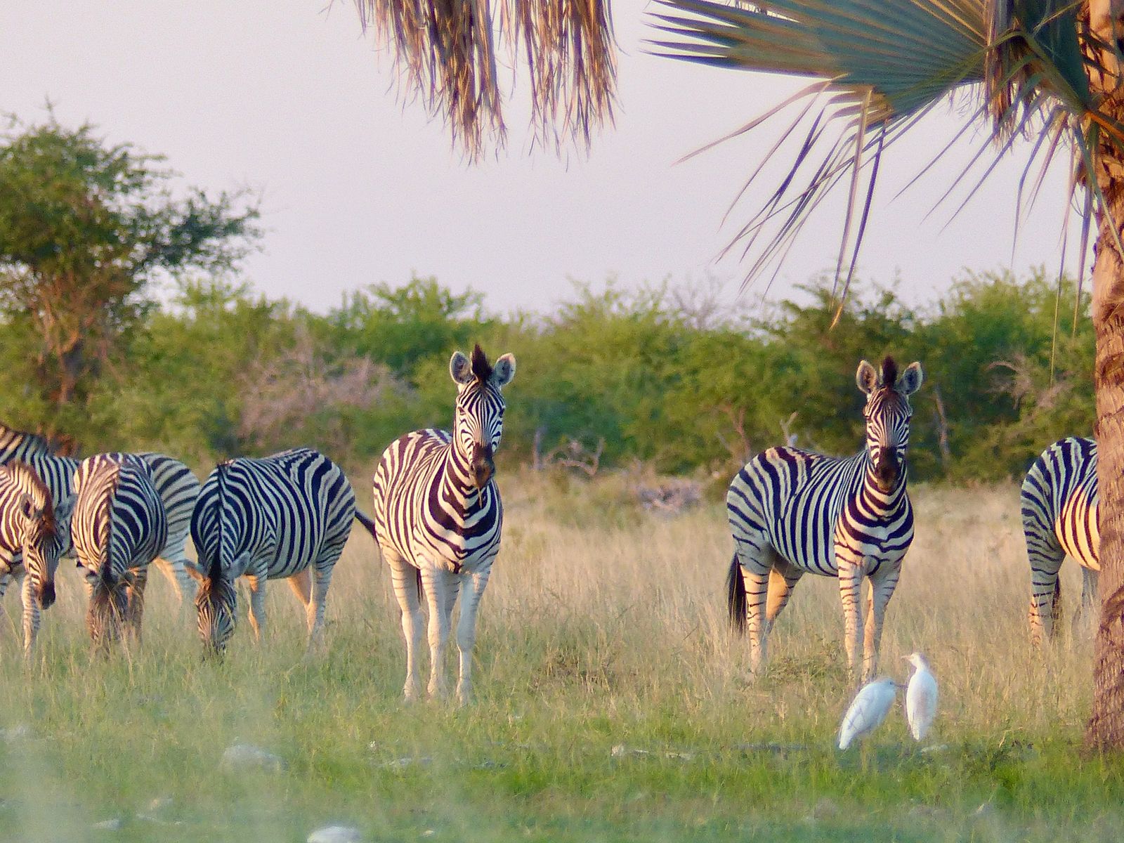 Jour 15 - Retour vers l'ouest