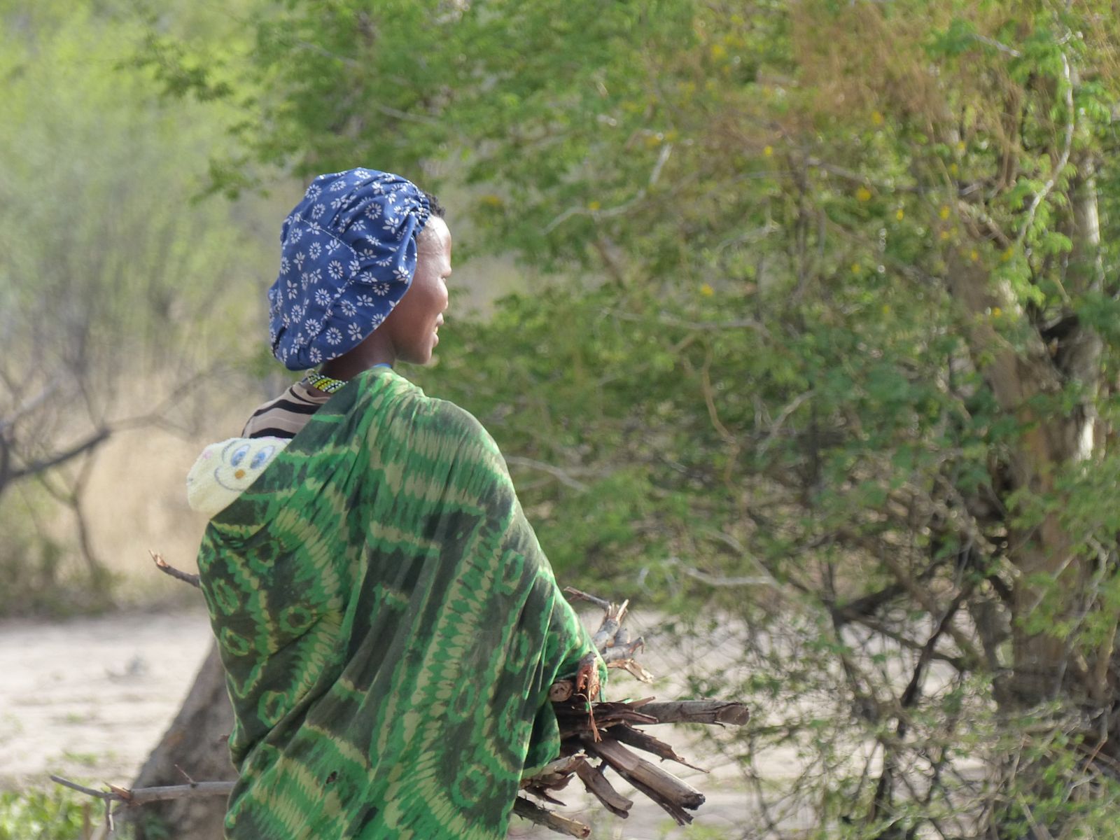 Jour 16 - Route vers Tsumkwe