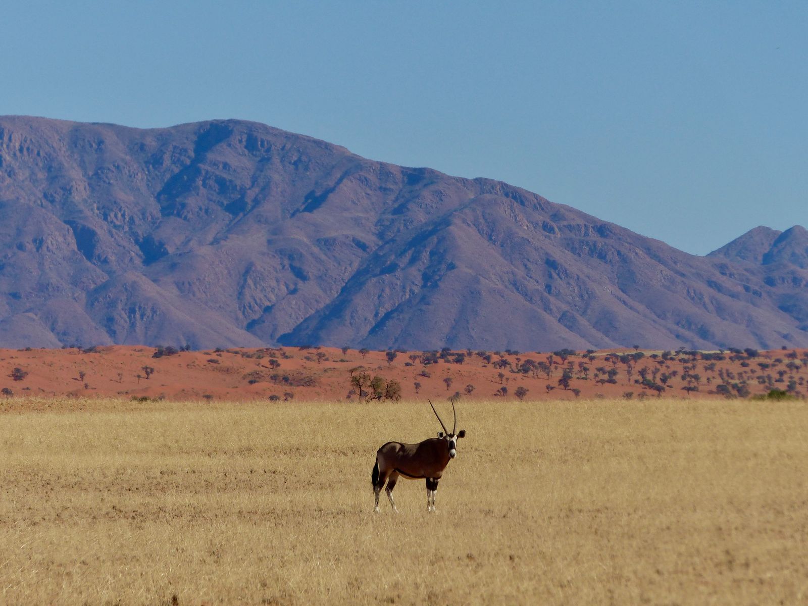 Jour 2 - NamibRand Nature Reserve