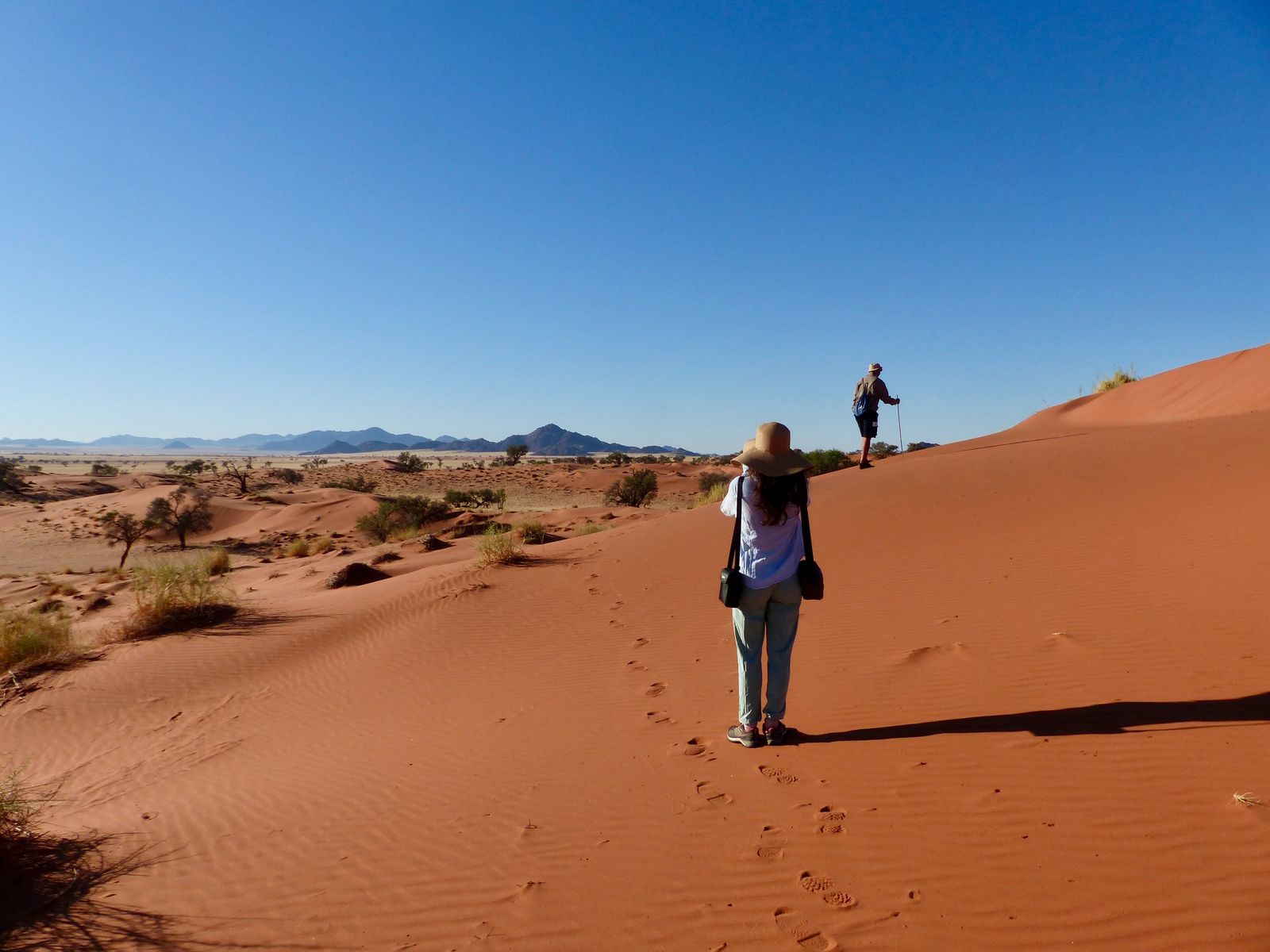 Jour 3 - Balade éducative & Canyon de Sesriem