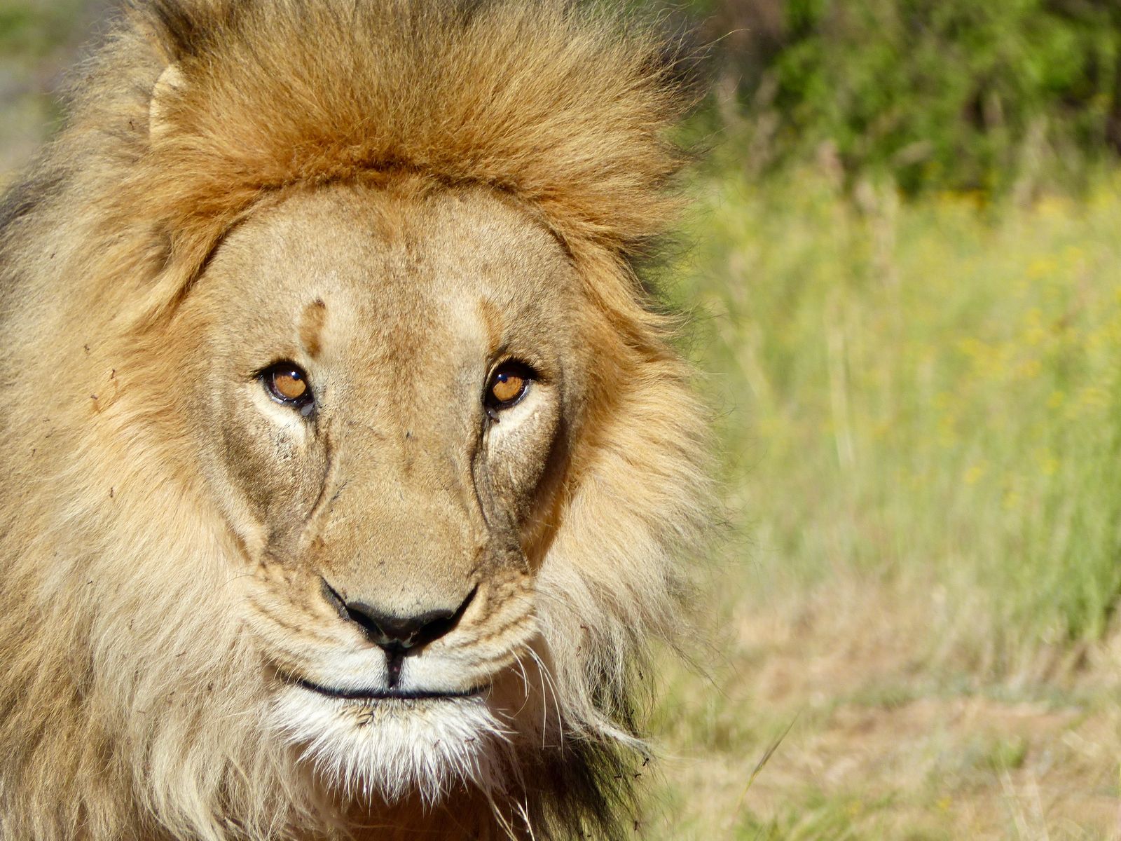 Jour 22 - Dernier jour & Départ